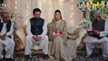 Dil Dhoondta Hai Phir Wohi Episode 20   Zara Noor Abbas & Zahid Ahmed   Express TV