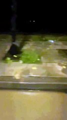 Κακοκαιρία Byron: To συγκλονιστικό βίντεο του Μιχάλη Λεβεντογιάννη από τους δρόμους της Αθήνας