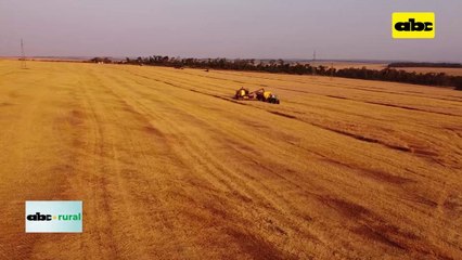 Video: resultados de la implementación de la agricultura de precisión
