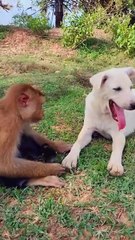 Best SokYaa, OG, Pao & Mom Are Famous Around The World #shorts #anime #trend #edit