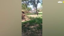 Principio De Incendio En El Jardín Botánico