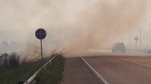 Incendio En Ruta Luque San Ber