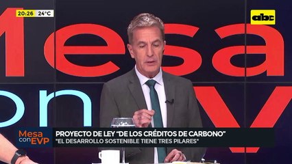 Video: Senado tratará este miércoles el proyecto ‘‘De los créditos del carbono”