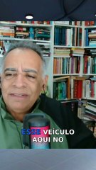 Descubra por que agosto é o mês do cachorro louco!