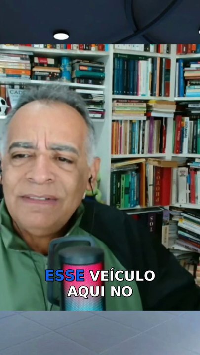 Descubra por que agosto é o mês do cachorro louco!