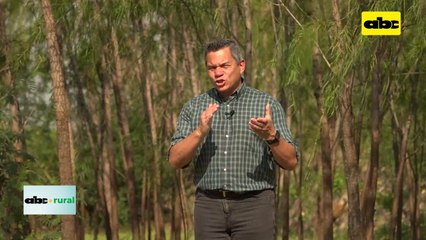 Video: invernadero automatizado para producción de tomate