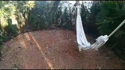 Hamaca Paraguaya En Mburuvicha Roga