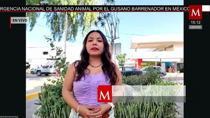 Buscan al conductor de un autobús escolar que abandonó el vehículo tras un choque en Puebla