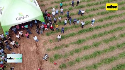 Video: rompiendo algunos mitos sobre el uso de biológicos en agricultura