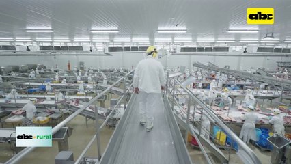 Video: presidente del CEA habla de excesiva baja de precios en frigoríficos