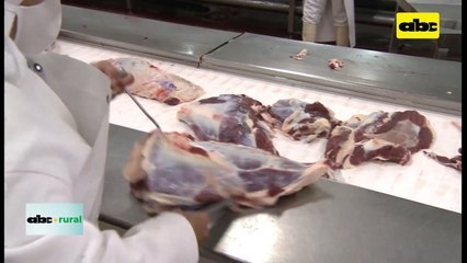 Video: cae faena bovina paraguaya en setiembre