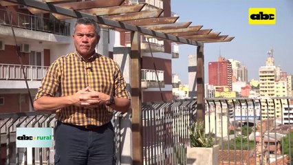 Video: apoyo a productores para mejorar sus rendimientos en caña de azúcar