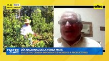 Video: Día Nacional de la Yerba Mate