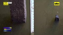 Video: sigue bajante del río Paraguay