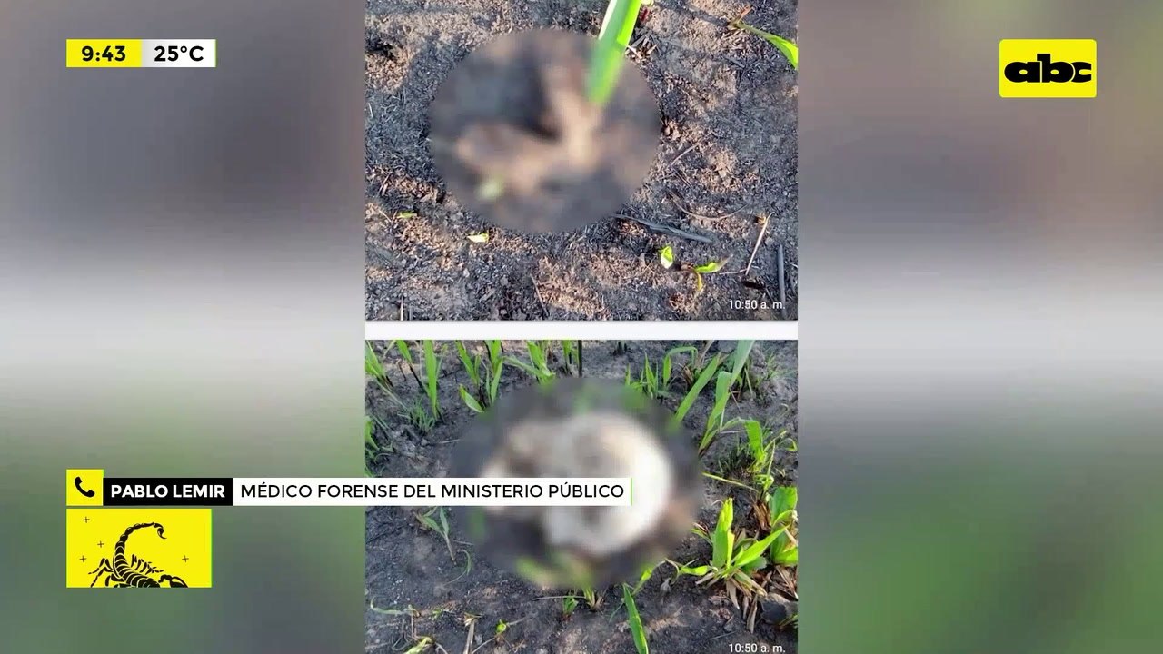 Video: descartan que restos óseos hallados sean de los secuestrados