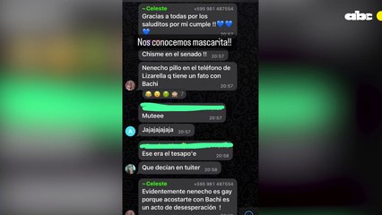 Los posteos de Nenecho sobre Celeste Amarilla