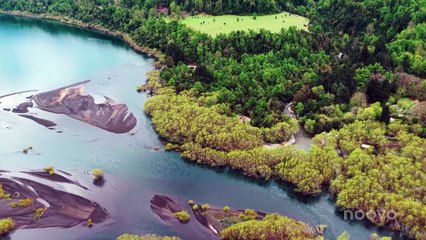 occupation double chypre s09e79