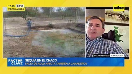 Sequía en el Chaco: falta de agua afecta también a ganaderos