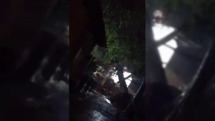 Temporal causo la caída de un árbol que afectó el Hospital de San Juan Nepomuceno