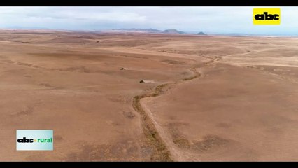 Video: documental “ganado o desierto” a favor de la producción