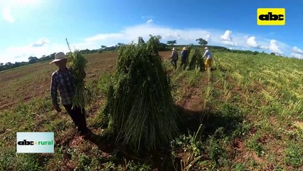 Video: Asociación de Productores Santa Teresa con un norte bien definido