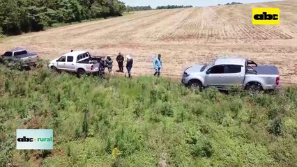 Video: siembra directa para control de malezas y regular la temperatura del suelo
