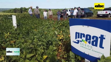 Video: desarrollo del variedades de soja en diversos puntos del país