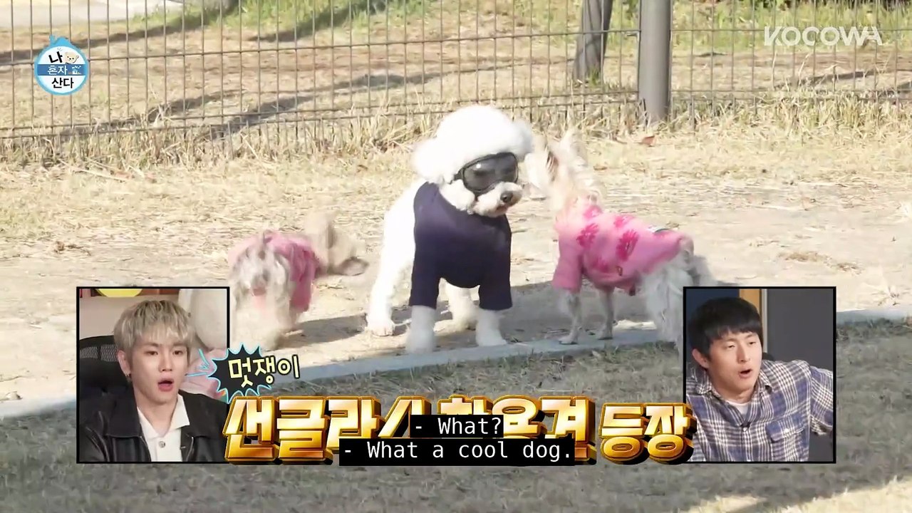 Sung Hwan's Dog Gets Jealous He's Paying Attention To Other Dogs 🐶 ｜ Home Alone EP624 ｜ KOCOWA+