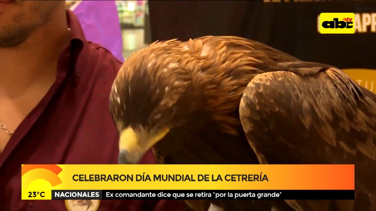 Cetrería En Paraguay