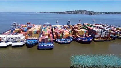 Demoras en puerto de Montevideo generan perjuicio económico, denuncian gremios