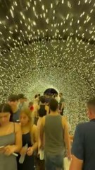 Navidad sustentable en CDE: habilitan "túnel 360°" en Lago de la República