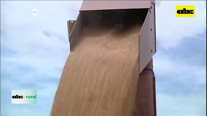 Video: productores del agro argentino con esperanzas el presidente Javier Milei