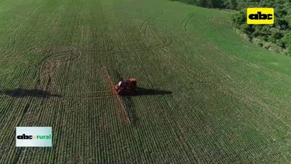Video: renovarán autorización para uso de glifosato por 10 años más