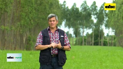 Video: salud del suelo y productividad para mayores rendimientos