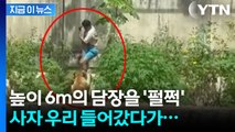 제 발로 사자 우리 들어간 10대...물리며 끔찍한 참변 [지금이뉴스] / YTN