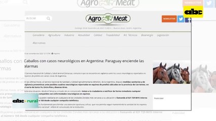 Video: detectan en Argentina grave enfermedad que ataca a equinos