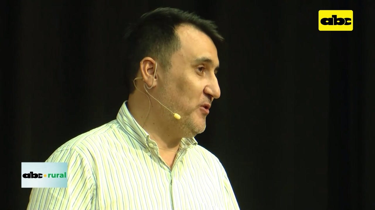 Video: resumen de lo que fue la IV Jornada Técnico Forestal en Volendam