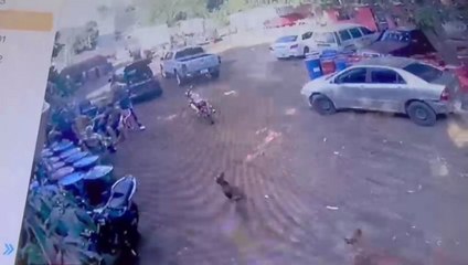 Video del asalto y posterior allanamiento en el que detuvieron asospechoso en la habitación de su novia