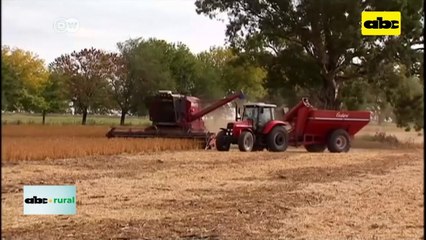 Video: productores argentinos con esperanzas en nuevo gobierno