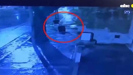 Conmoción en Argentina: anciano fue descuartizado por su propio hijo