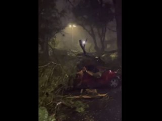 Imágenes del temporal en Argentina