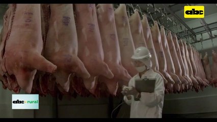 Video: productores de cerdo con crecimiento de 221 por ciento hasta noviembre