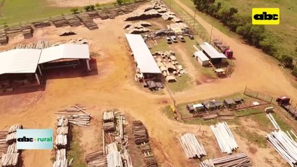 Video: hablaron sobre maderas impregnadas en Hortipar 2023