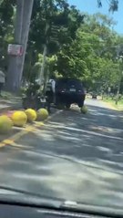 un vehículo chocó contra bolardos de la bicisenda en San Lorenzo