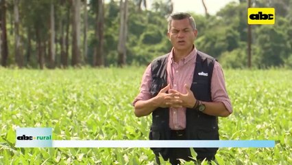 Video: INBIO cierra año con logros importantes y proyectos para el 2024