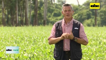 Video: control de erosión gracias a la adopción de la siembra directa