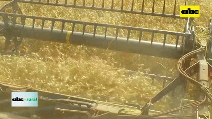 Video: Agricultura de precisión, por donde pueden empezar los pequeños productores