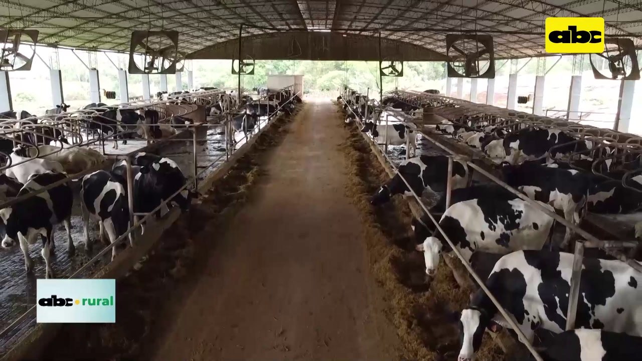Video: Tecnología de precisión para control de vacas lecheras
