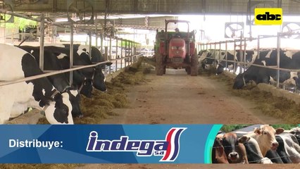 Video: alarmas para un mejor control de vacas lecheras