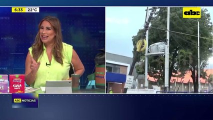 Video: Árbol caído bloquea parte de la avenida Eusebio Ayala